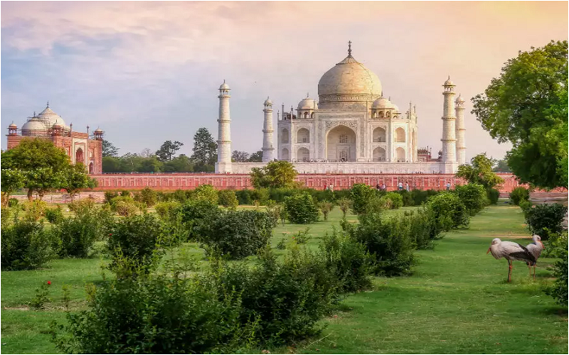 Taj Mahal Tour Experience